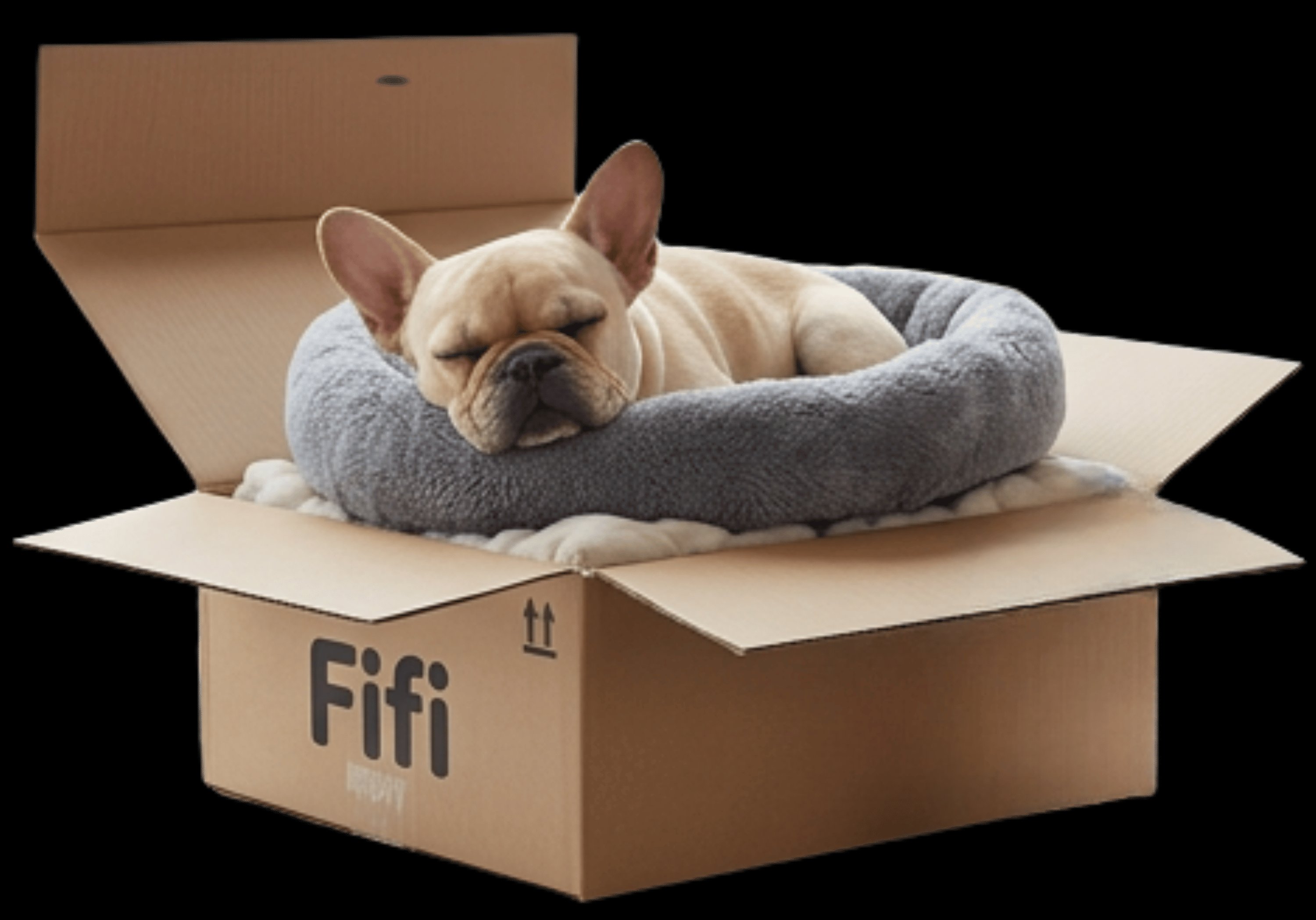 Fifi — CEO of Packaging